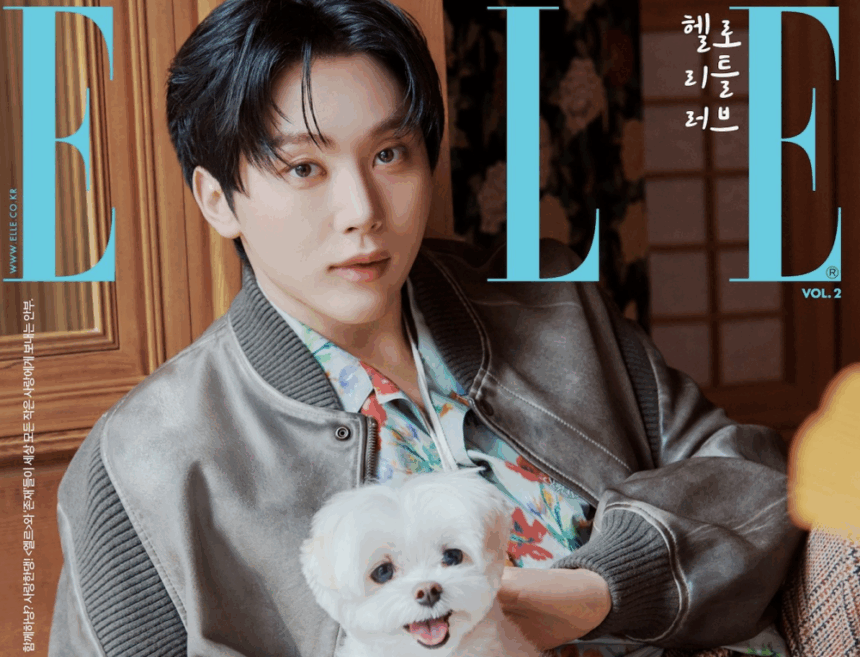 Сынгкван из Seventeen: трогательная история о любви к домашнему питомцу Сынгкван из Seventeen: трогательная история о любви к домашнему питомцу
