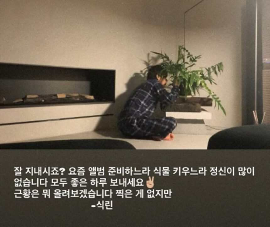 В. из BTS делится уютными моментами жизни и анонсирует новый альбом В. из BTS делится уютными моментами жизни и анонсирует новый альбом